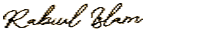 Rabiul Islam Signature